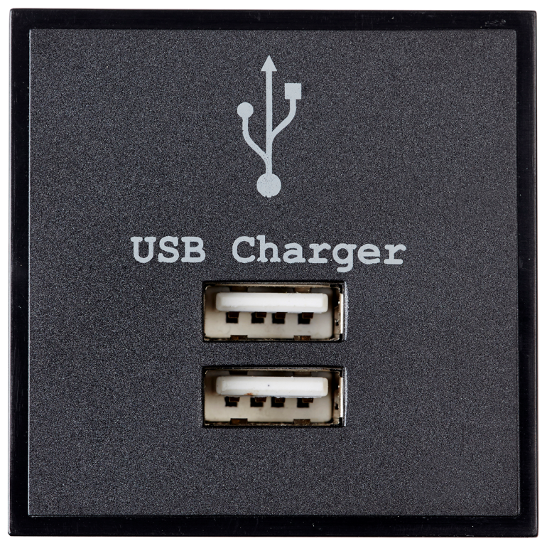 Module, 2 Gang USB Charger