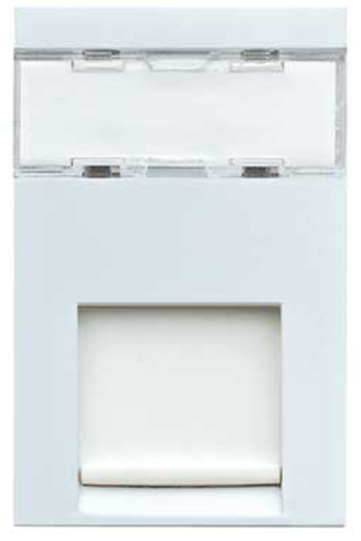 Socket, 1 Module RJ45 Cat 6
