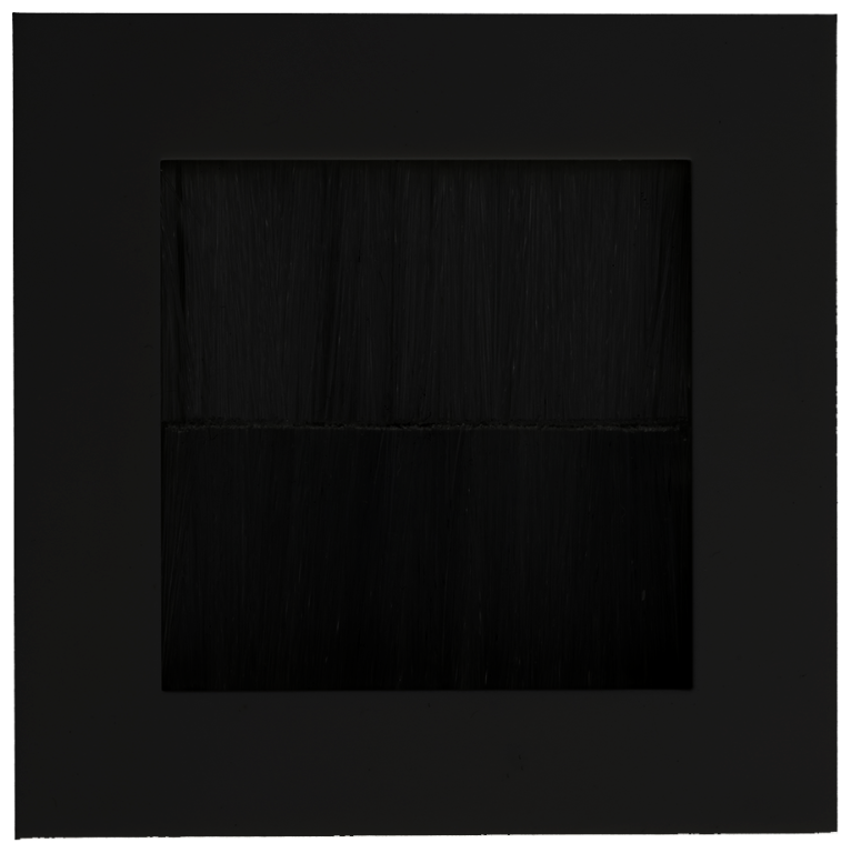 Module, 2 Gang Brush Flex Outlet